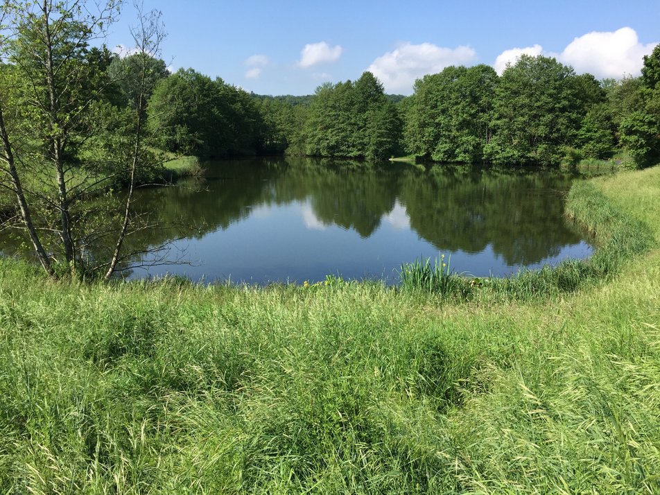 Eine Wiese und ein See